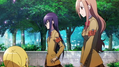 [VCB-Studio] Seitokai Yakuindomo / 妄想学生会 / 生徒会役員共 10-bit 1080p HEVC BDRip [S1-S2 + OVA&OAD Fin]插图icecomic动漫-云之彼端,约定的地方(´･ᴗ･`)16