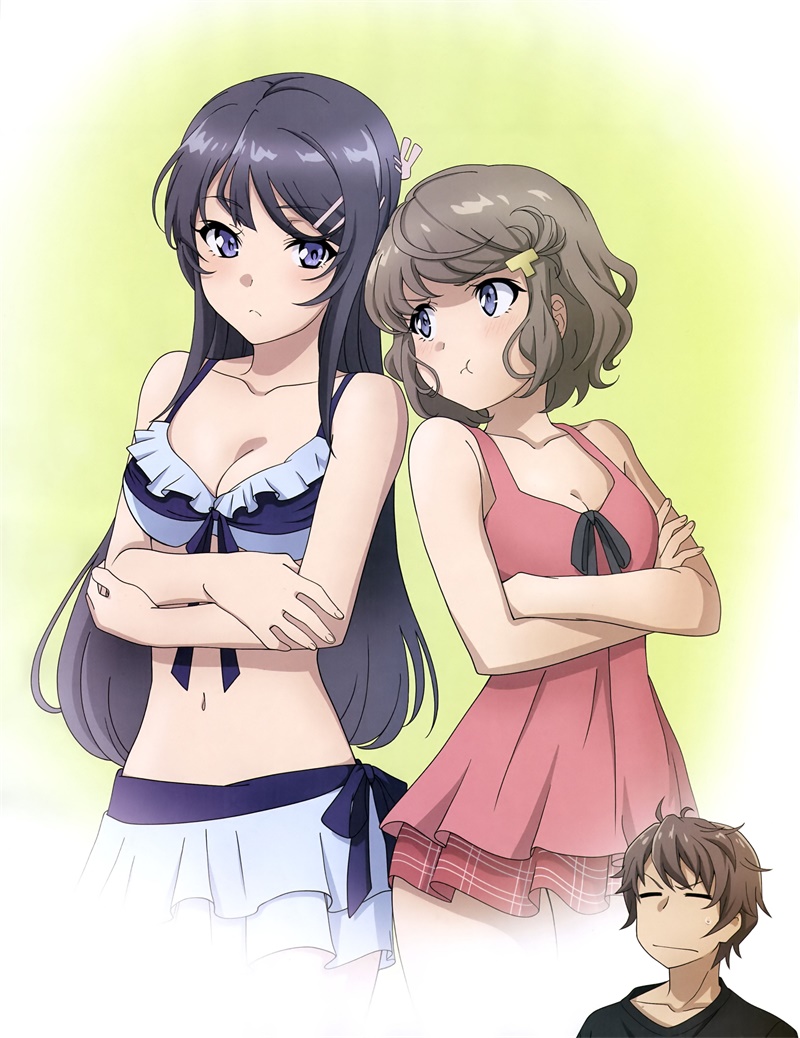 [动漫国字幕组&VCB-Studio] Seishun Buta Yarou wa Bunny Girl Senpai no Yume wo Minai / 青春猪头少年不会梦到兔女郎学姐 10-bit 1080p HEVC BDRip [V2 Fin]插图icecomic动漫-云之彼端,约定的地方(´･ᴗ･`)