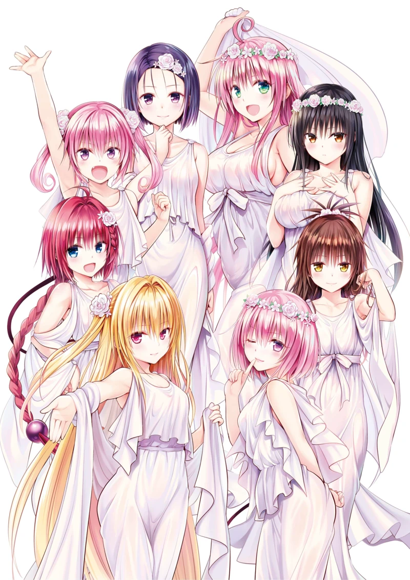 [VCB-Studio] 出包王女 / To LOVE-Ru / To LOVEる -とらぶる- 10-bit 1080p HEVC BDRip [S1 Reseed + S2-S4 Rev + OADs Fin]