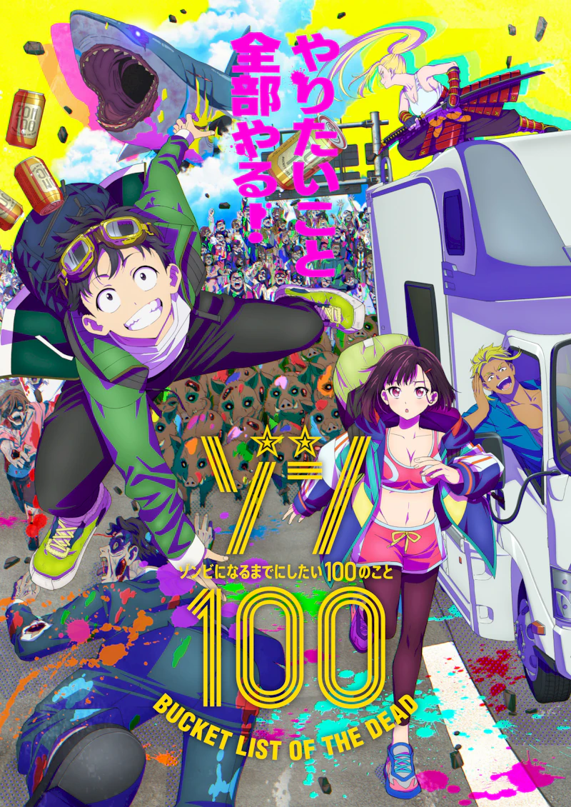 vis2_800.webp