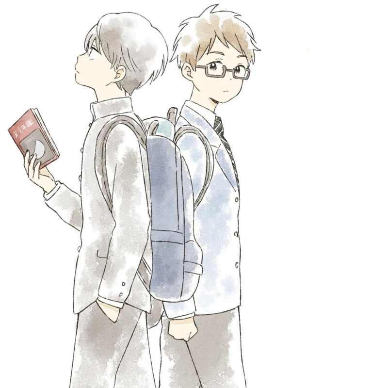 800px.webp